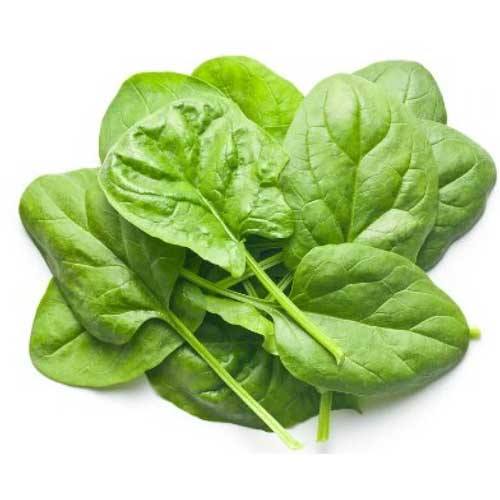 Fresh Spinach