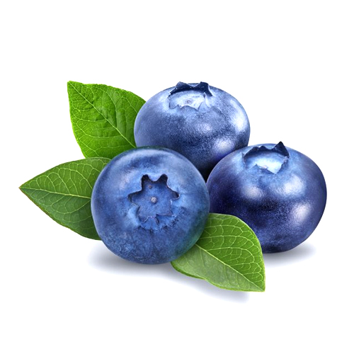 Fresh Blueberries