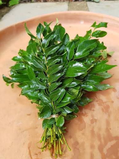 Curry Leaves